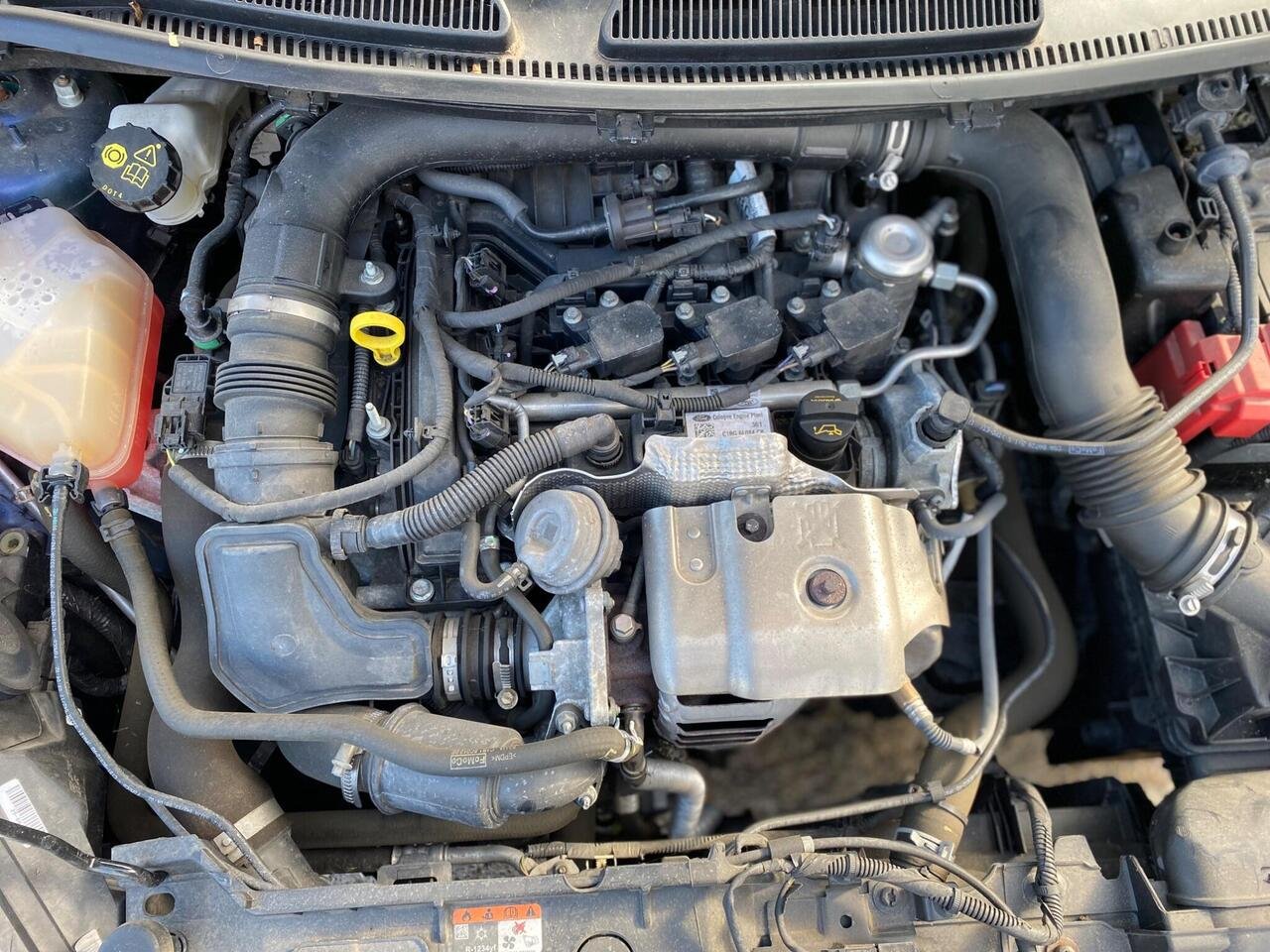 Ford Fiesta DS17OAG